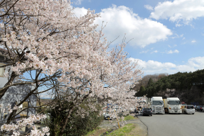 株式会社しのぶや物流様　構内画像
