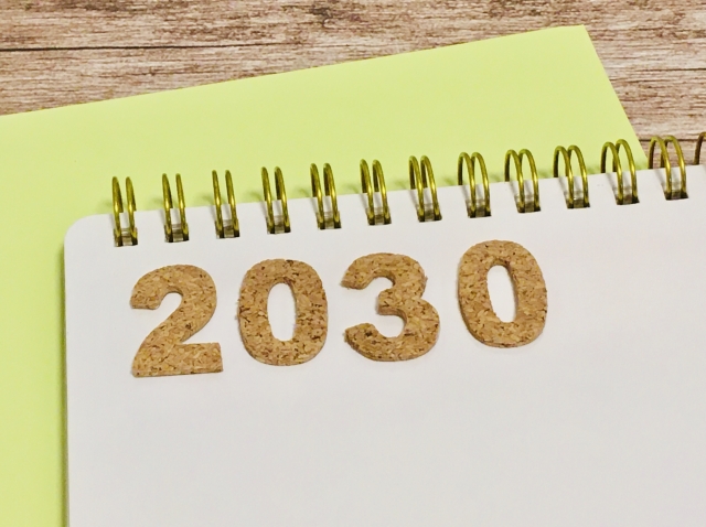 2030年問題とは