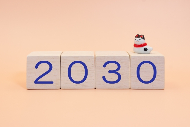 2030年問題