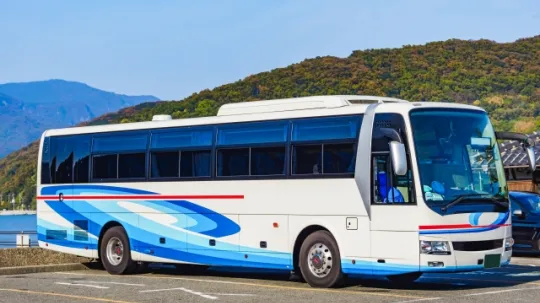 大型二種 免許 費用